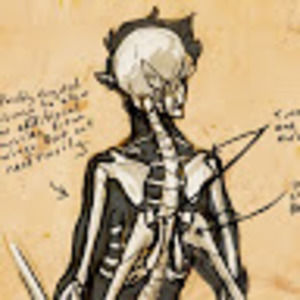 Meet your Posher, Tomis